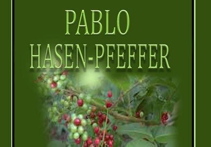 magical, metaphysical, mystery, family saga