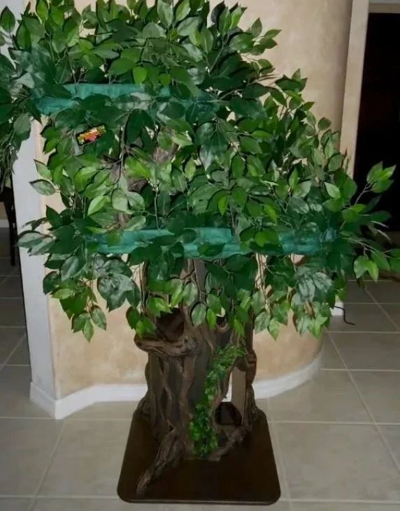 Enchanted Cat Tree
