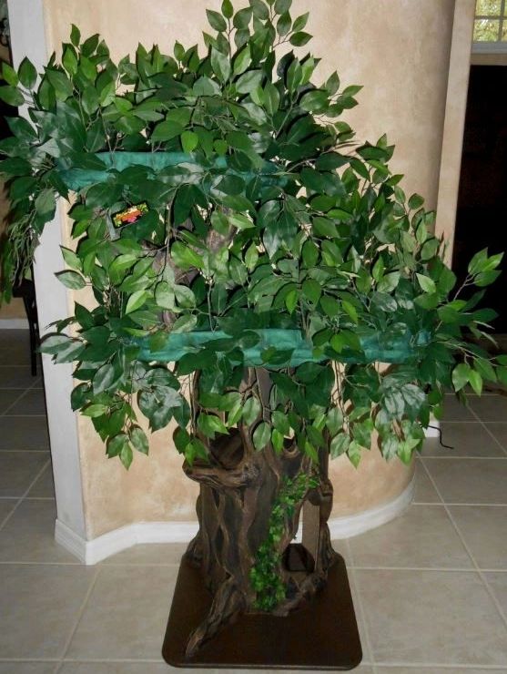 Enchanted  Cat Tree