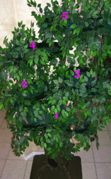 Cat Trees with Lots of Platforms