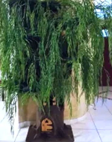 Weeping Willow cat tree