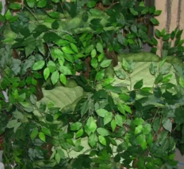 Cat Trees with Large Platforms