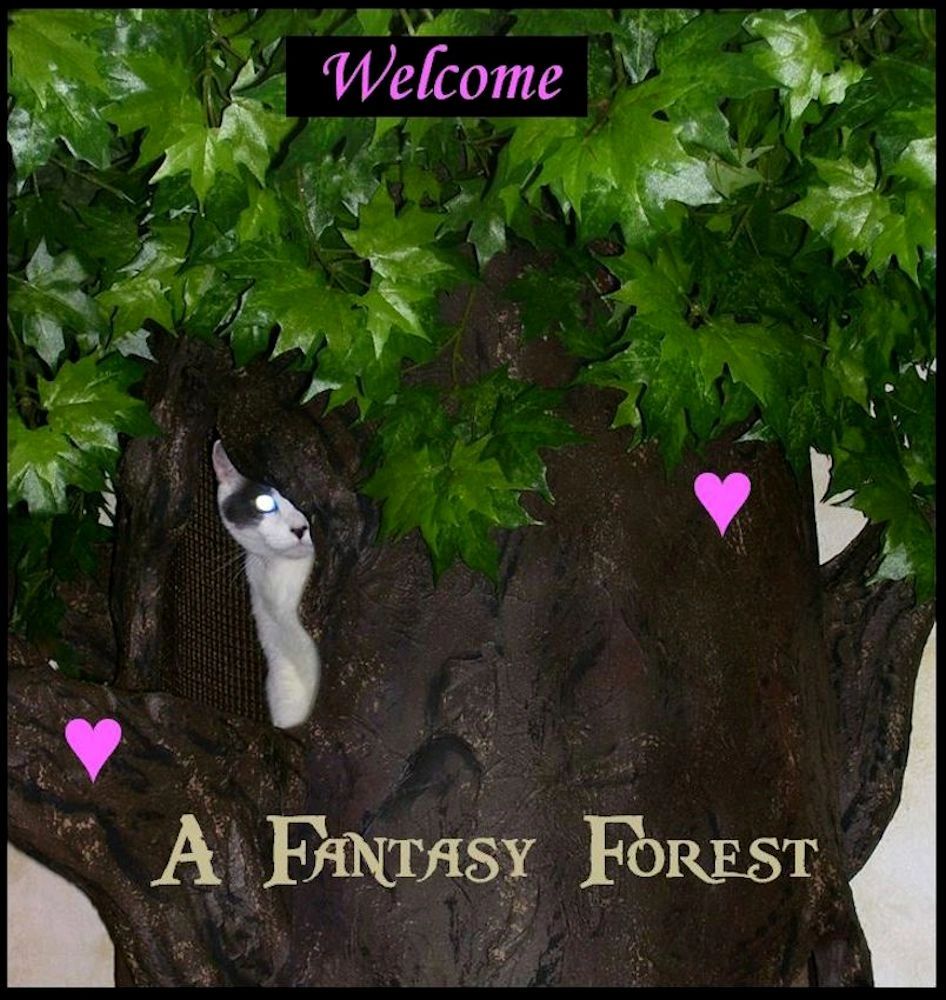 A Fantasy Forest Cat Trees
