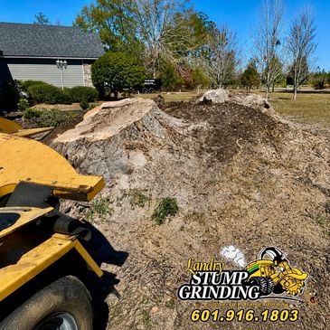 Large Uprooted Stump is no competition for our equipment.