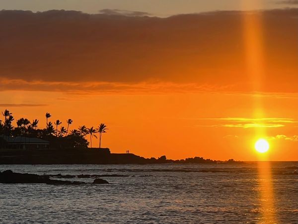 Sunset over ocean with silhouetted palm trees and two people on a rocky shore.
