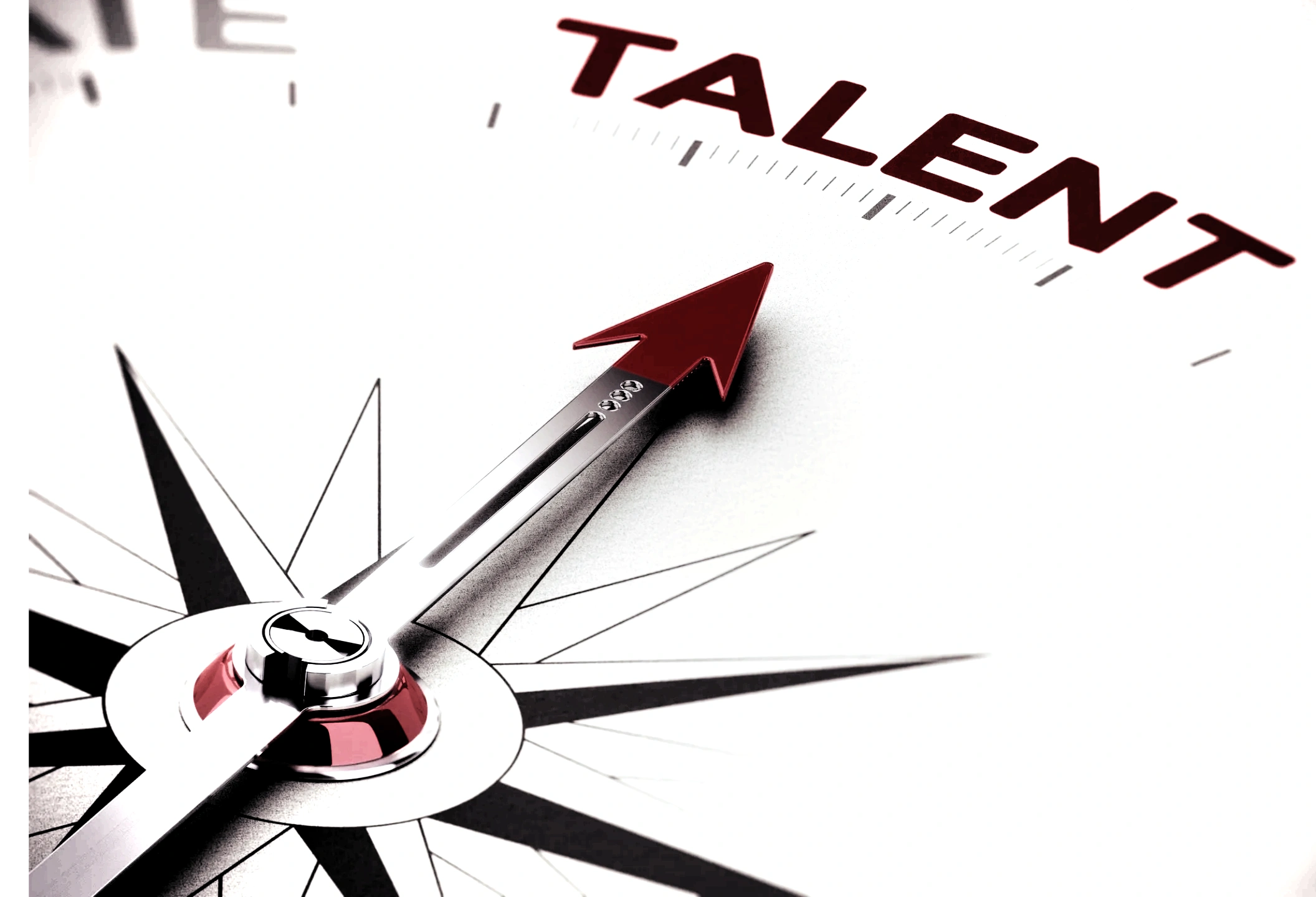 NEXT+ULTRA NEXT PLUS ULTRA