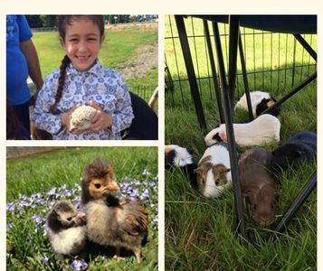 Cuddling our farm animals