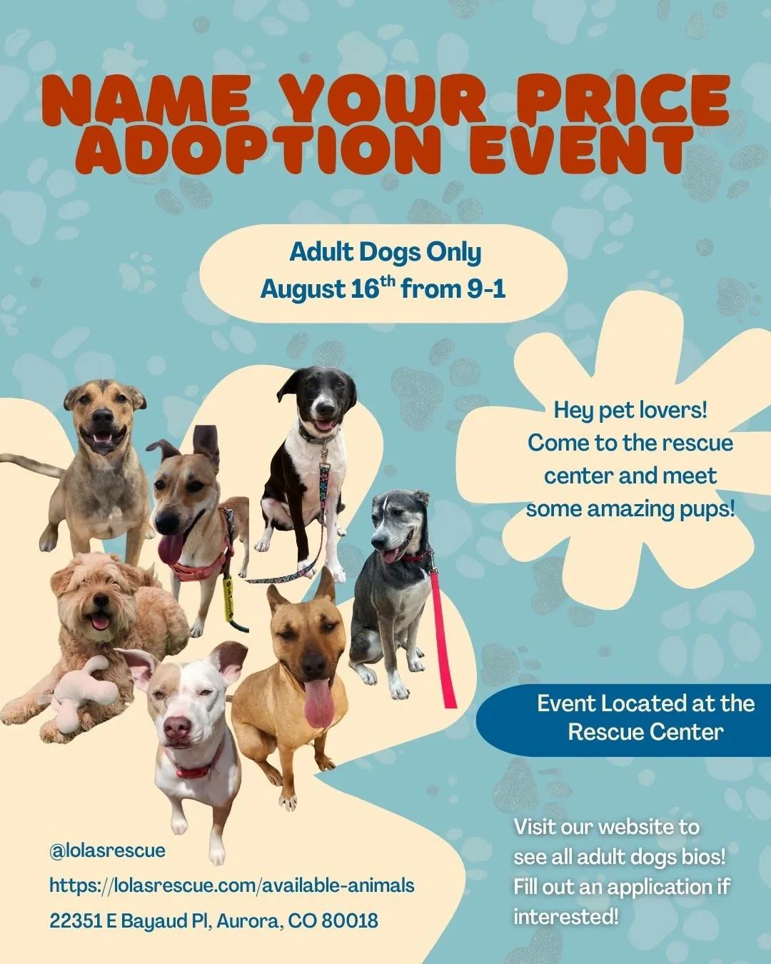 Where to Find Adoptable Dogs: Discover Top Places