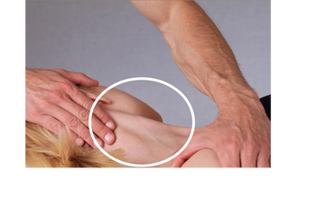 Free the phone/computer neck