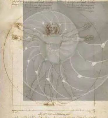 The seed of life force and etheric vitality