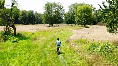 Off-roading the Engwe L20 2.0