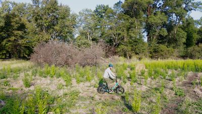 Engwe L20 2.0 Riding in field