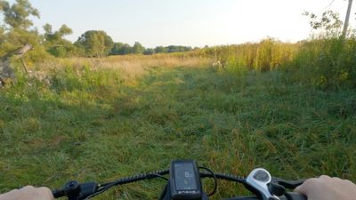 Engwe L20 2.0 off-road view