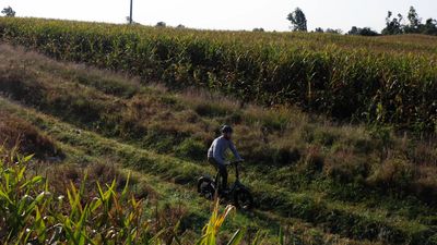 Engwe L20 2.0 riding trail