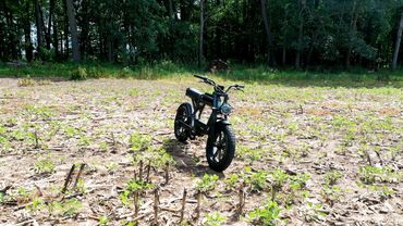 Ride1Up Revv 1  in Field