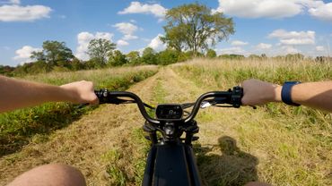 Riding Ride1Up Revv 1 in tall grass