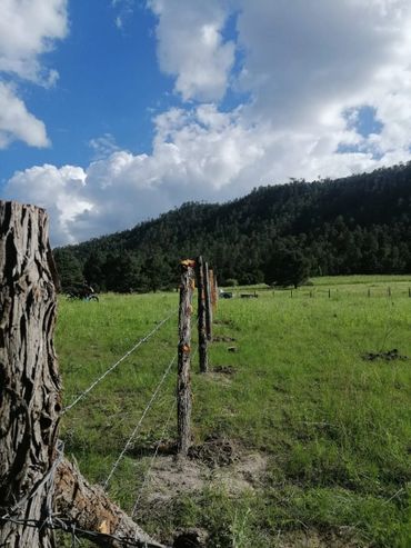 Comunidad el Tarahumar y Bajíos del Tarahumar