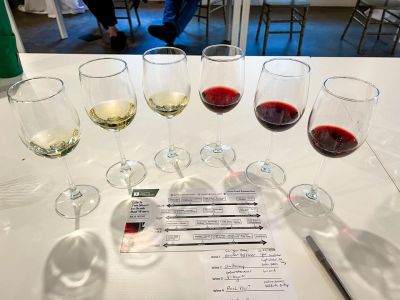 Six wine glasses with white and red wines on a table with a tasting sheet.