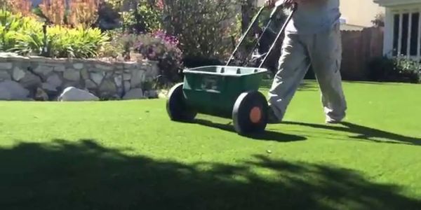 Person using a spreader on a lawn.