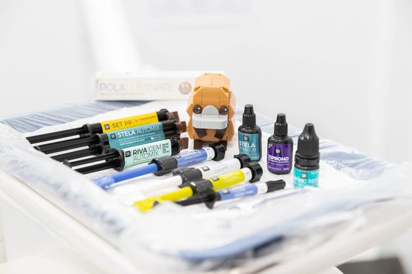 SDI Limited Products at Platypus Dental