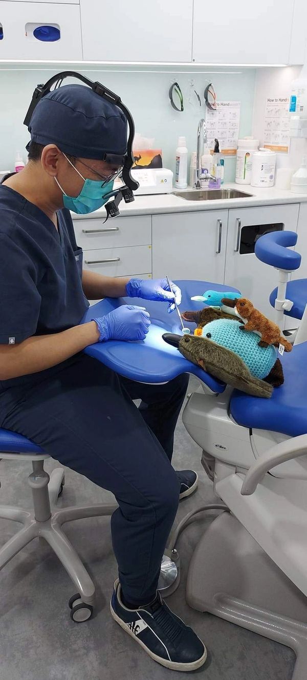 Brisbane Dentist Dr Terry Pu at Platypus Dental
