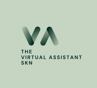 Logo for The Virtual Assistant SKN with stylized VA letters.