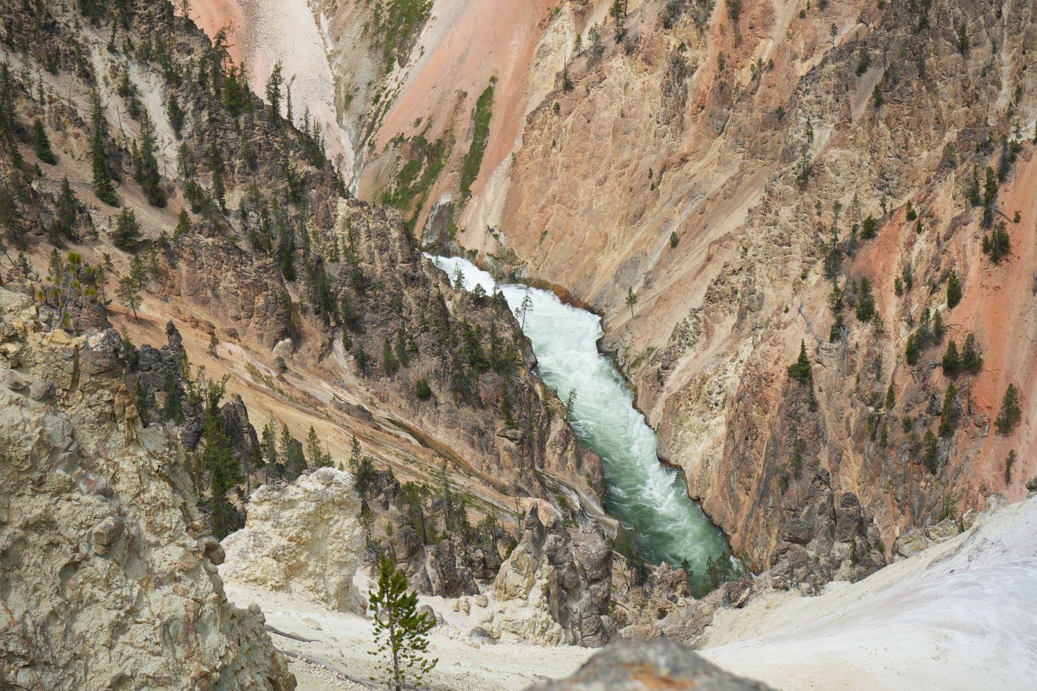 A winding river flows through a rocky canyon with sparse trees.