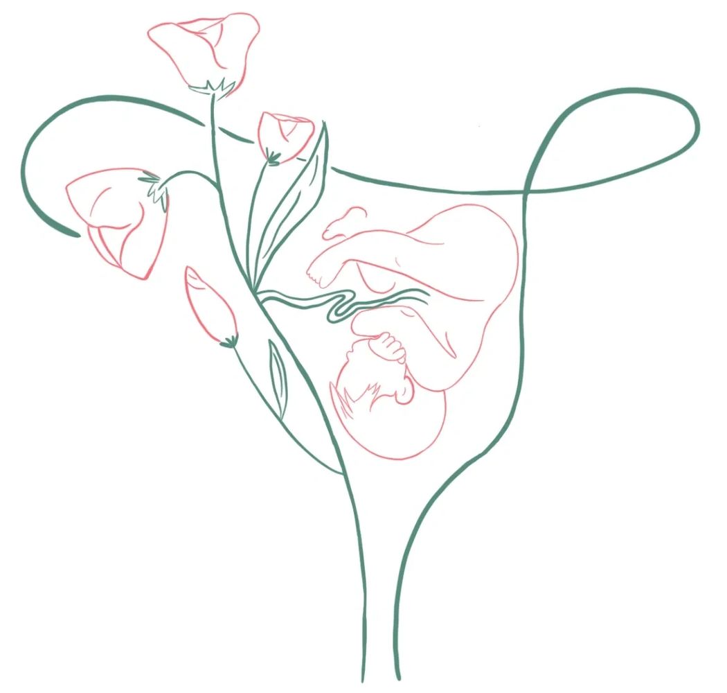A pink fetus and flowers growing inside a single line abstract green uterus.
