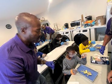 Students dissecting a from in a science lab