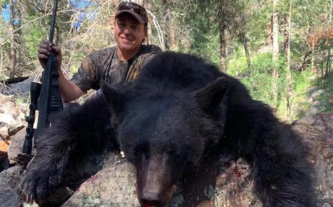 Bear Hunt with Hounds Rifle Black Bear Color Phased