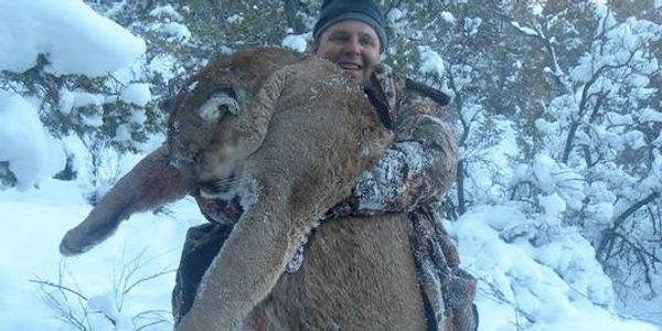Lion Hunt with Hounds Northern New Mexico Tom Cat Mountain Lion
