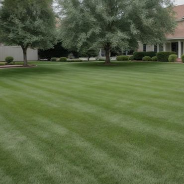 A perfect green freshly mowed lawn