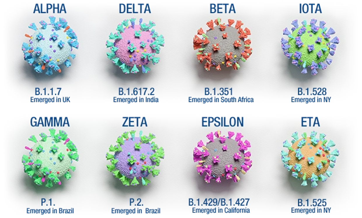Different variants of SARS-CoVid.