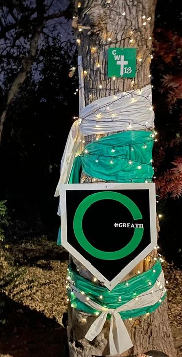 The tree where the accident occurred. It's decorated with lights and Great 11 logo