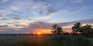 Sunset over a grassy field with silhouetted trees and colorful sky.