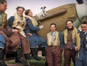 WWII pilots with dogs posing by a vintage aircraft.