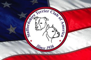 Staffordshire Terrier Club