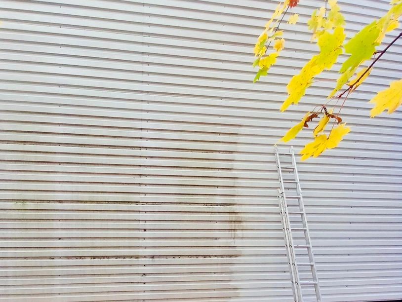 A ladder leaning against a white corrugated wall with autumn leaves in the foreground.