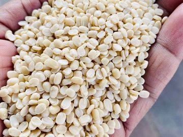 indore dhowa urad, urad mogar
