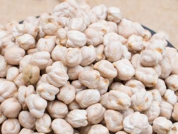 kabuli chickpeas mexico dollar indore