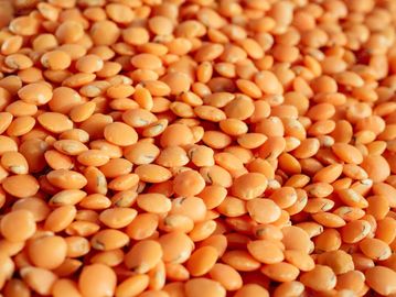 red masoor desi malka lentil