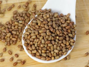 moth beans in a white spoon