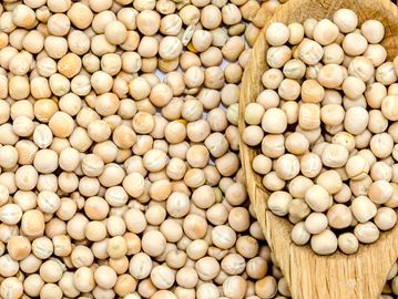 white desi yellow peas in a wooden spoon
