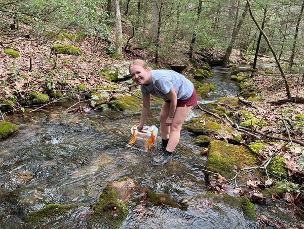 Woman standing in a forest stream holding a dog.