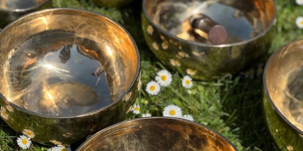 Shiny brass singing bowls on grass with daisies.
