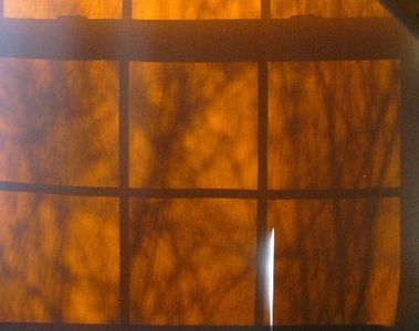 Photo by E.A. Laydon