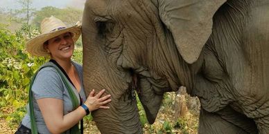 Excursions, Tours & attractions.  Elephant Sanctuary, Chiang Mai, Thailand
