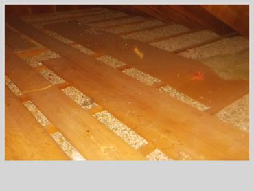 Zonolite asbestos insulation in attic photo