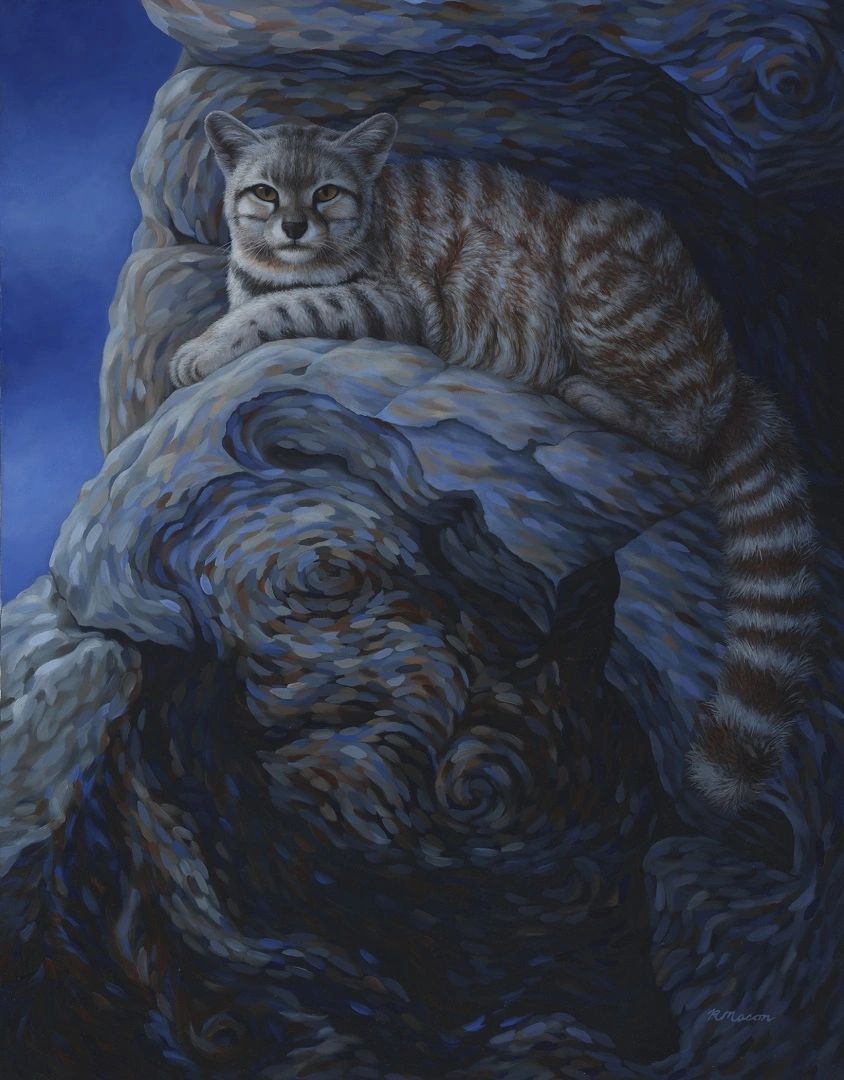 Andean mountain cat painting for sale by Rochelle Mason, Artist
Original artwork, paintings