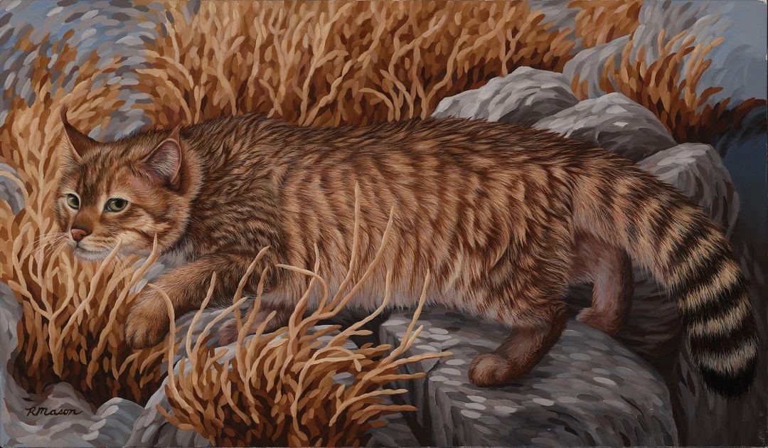 Chinese mountain cat painting for sale by Rochelle Mason, Artist
Original artwork, paintings
